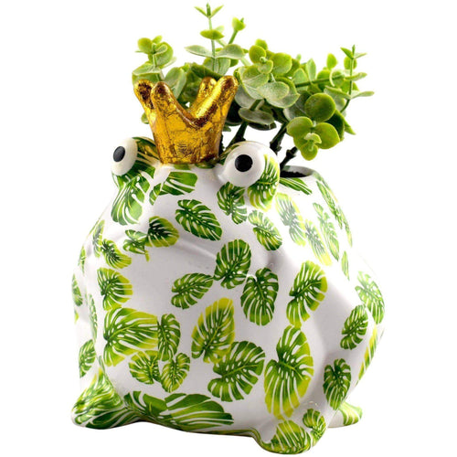 Rana Freddy | Vaso di Fiori