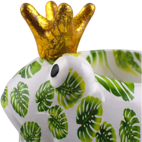 Rana Freddy | Vaso di Fiori