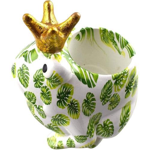 Rana Freddy | Vaso di Fiori