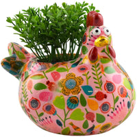 Pollo Alice | Vaso di Fiori