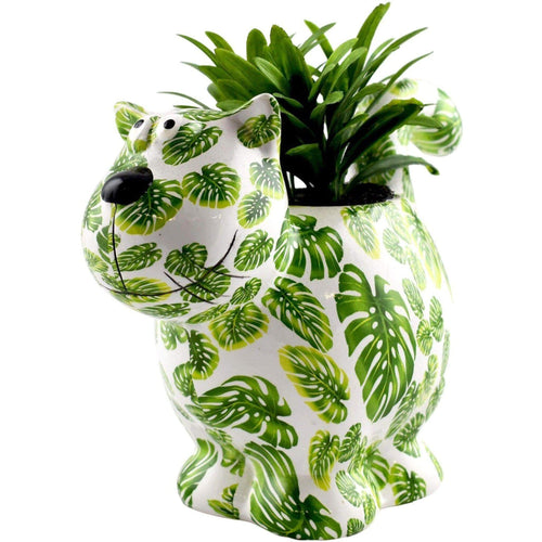 Gatto Caramel | Vaso di Fiori