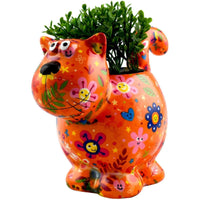 Gatto Caramel | Vaso di Fiori