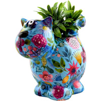 Gatto Caramel | Vaso di Fiori
