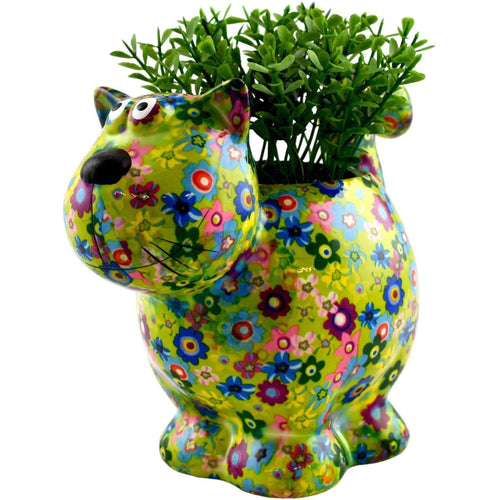 Gatto Caramel | Vaso di Fiori